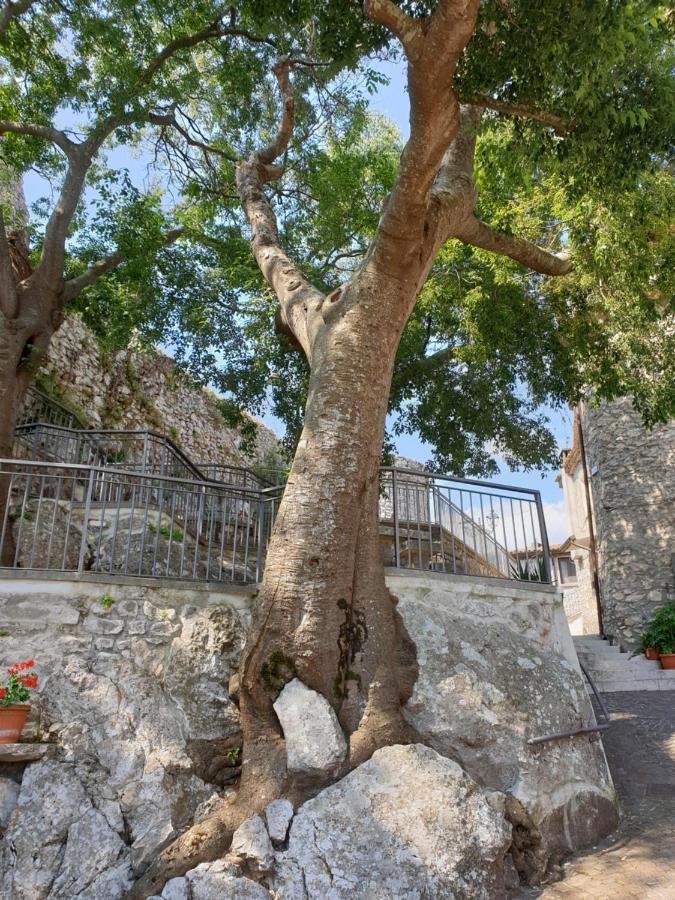 Casa Di Mamma Rosa Villa Castelnuovo Parano ภายนอก รูปภาพ